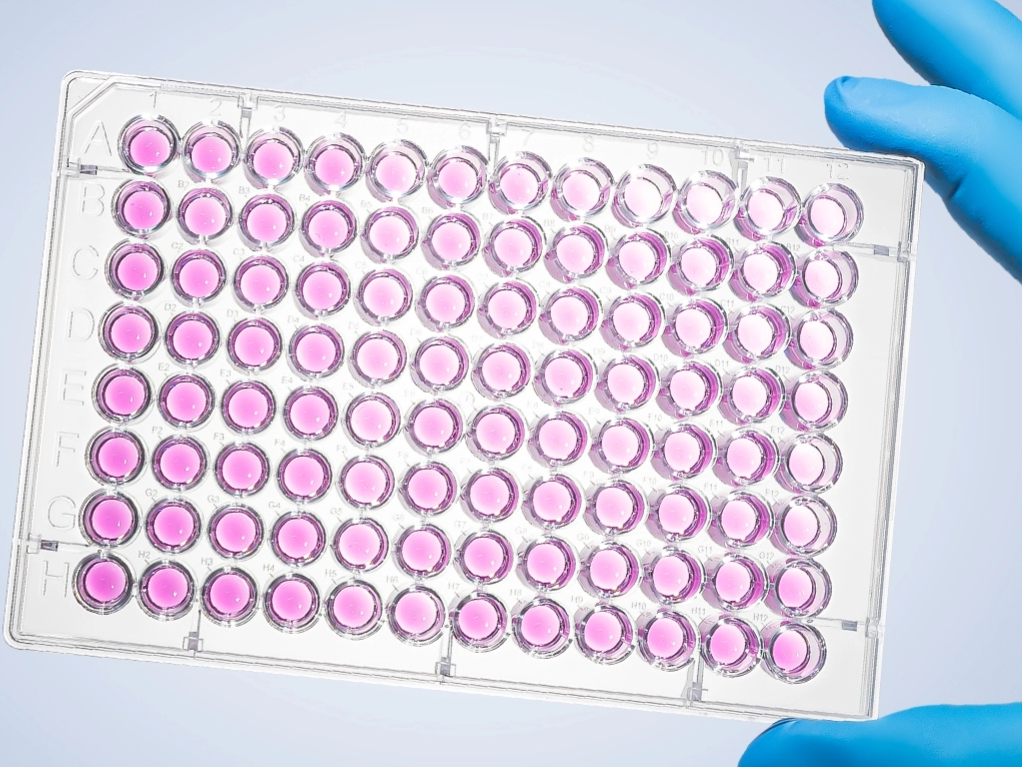 Product Recommendation | How to choose an enzyme plate?