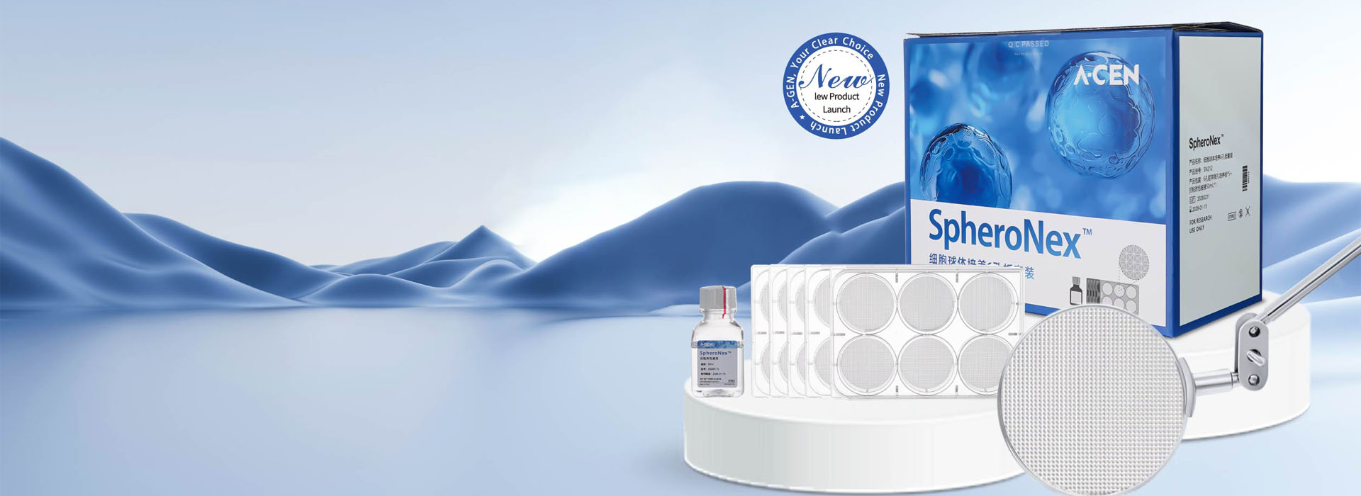 SpheroNex™ Anti-adhesion 6-Well Plate for Cell Spheroid Culture