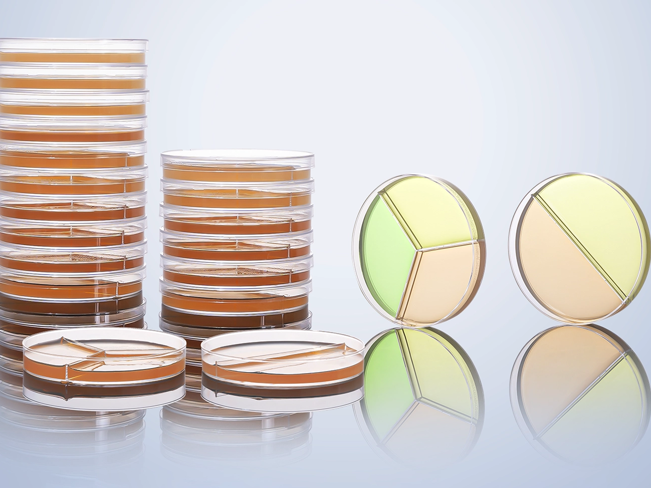 The world contains great mysteries, and the Aijin bacterial petri dish helps you decipher the 'language' of microorganisms