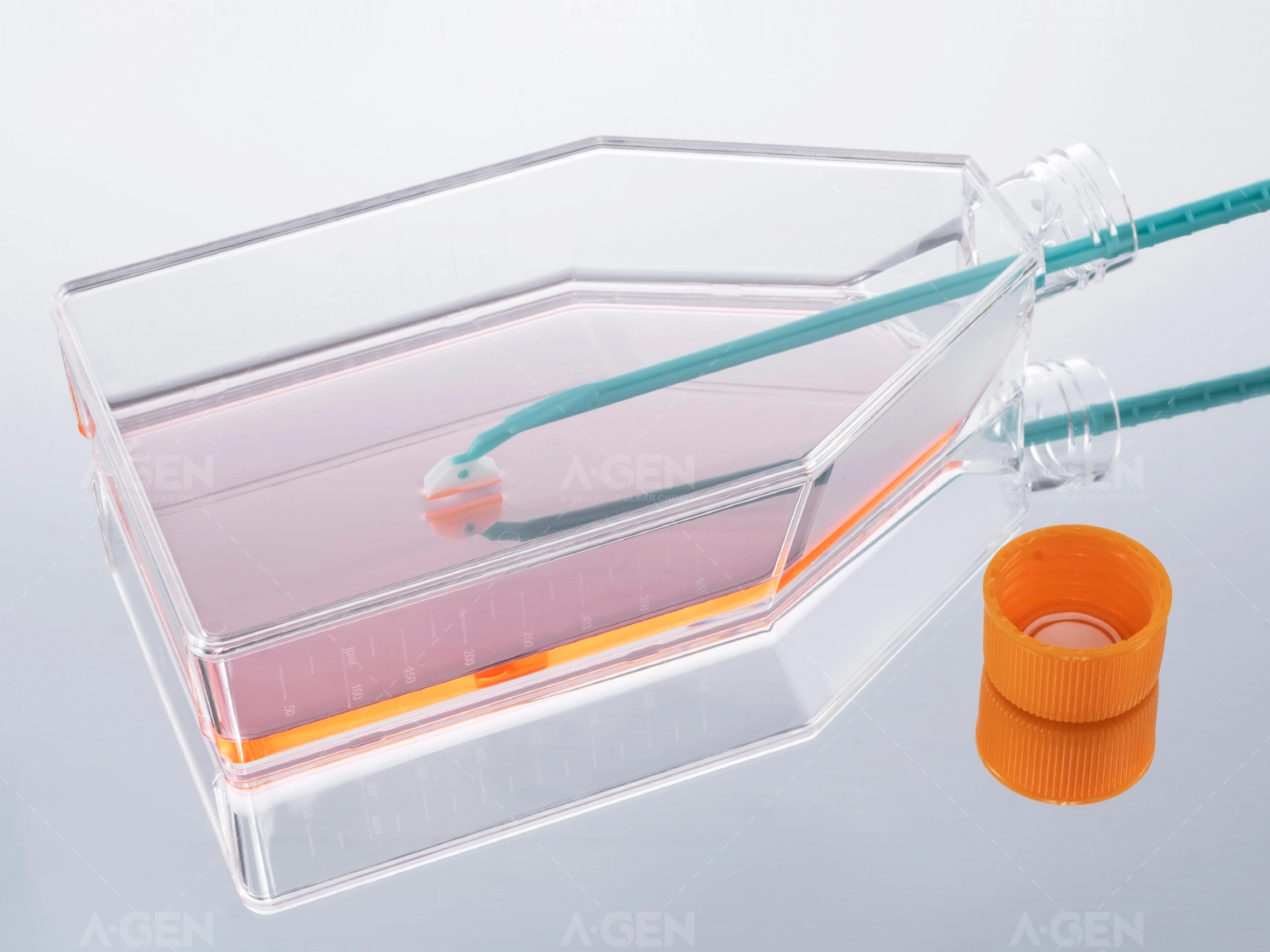 How to do cell subculture? What are the necessary experimental consumables?