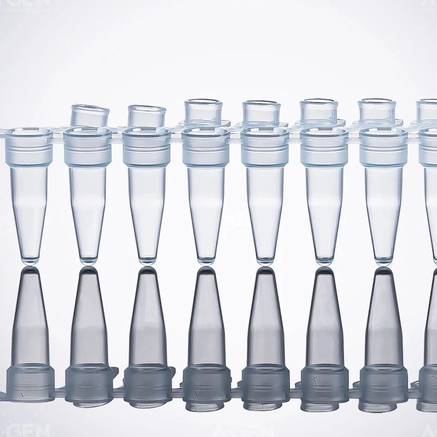 PCR consumables! The invisible power that carries experimental accuracy